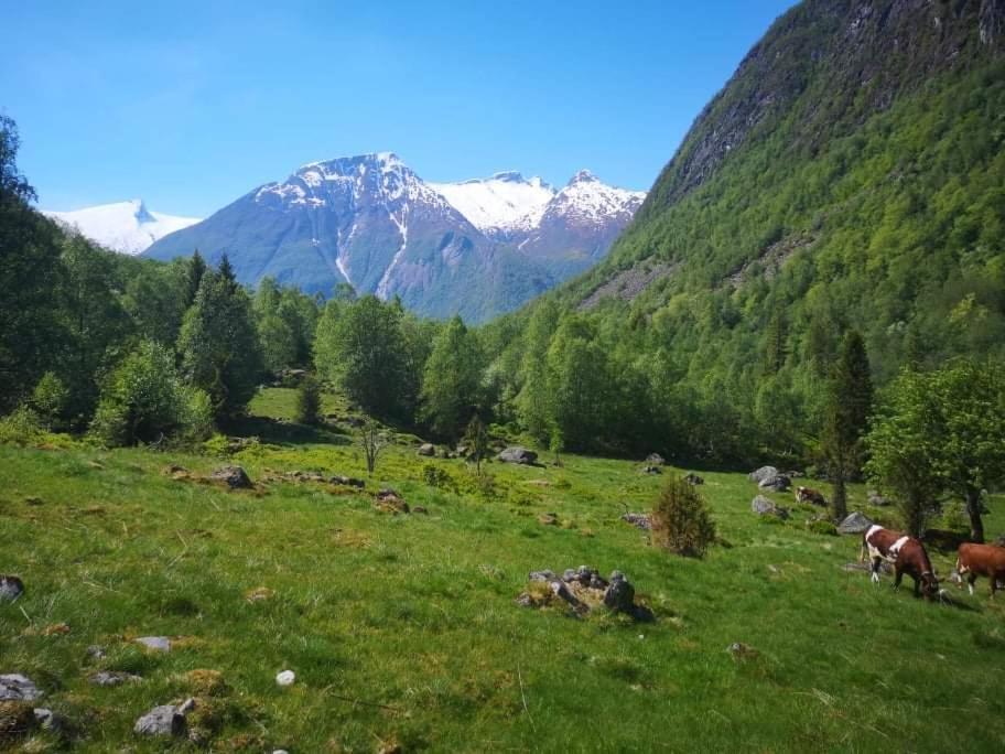 Sogndal ski-&mountain cabin Bagian luar foto